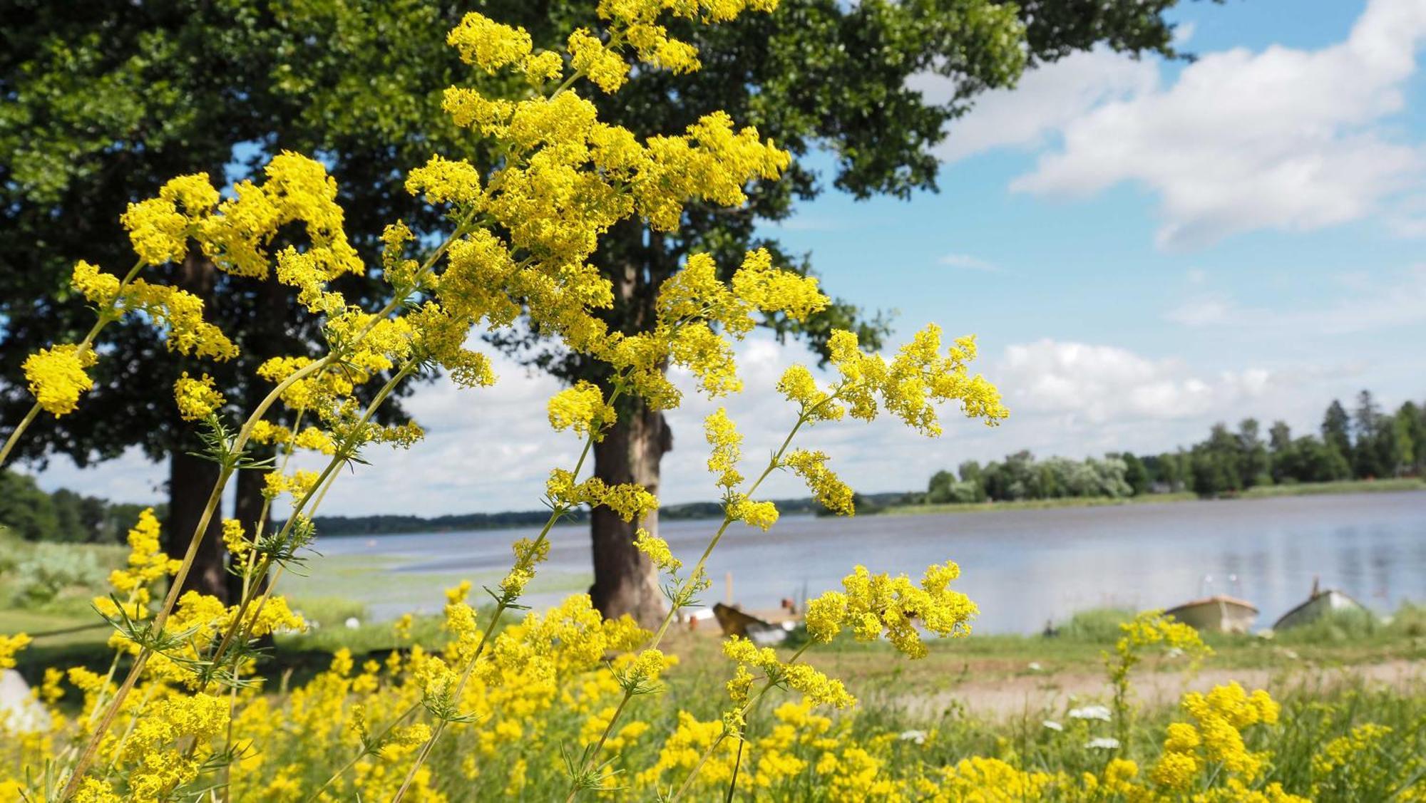 Komplett Laegenhet Med Sjoeutsikt Malmon Exterior foto